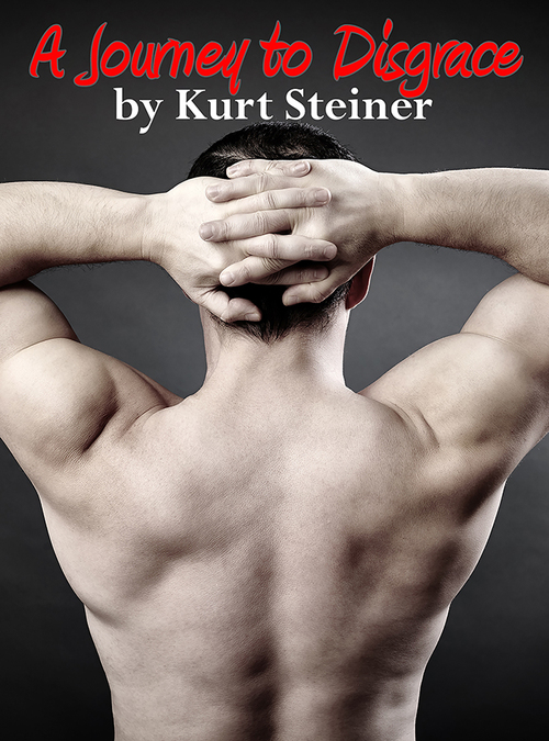 Product picture A Journey to Disgrace